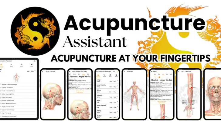 Acupuncture Assistant feature graphic