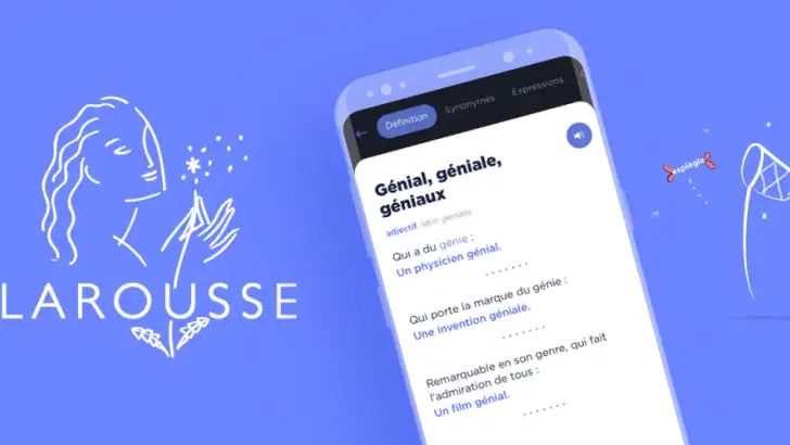 Dictionnaire Larousse français feature graphic