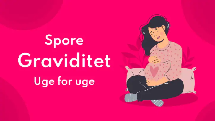 Graviditet Regnemaskine feature graphic