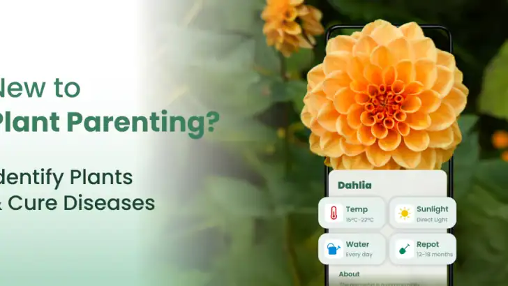 Plantify: AI Plant Identifier feature graphic
