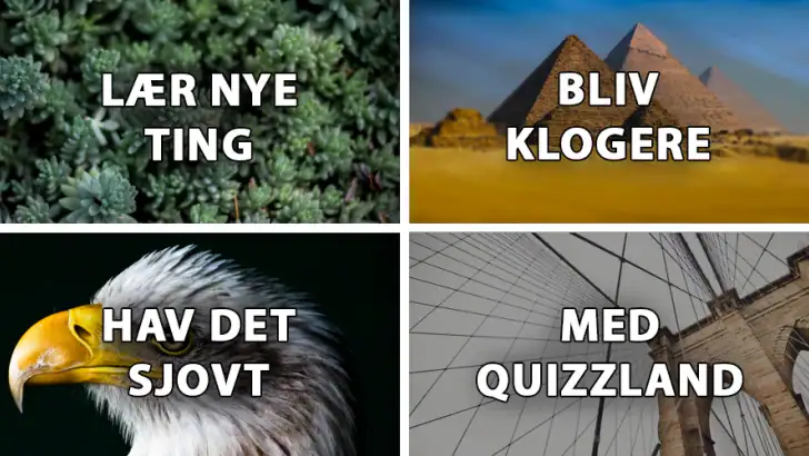 QuizzLand: Quiz spil på dansk feature graphic