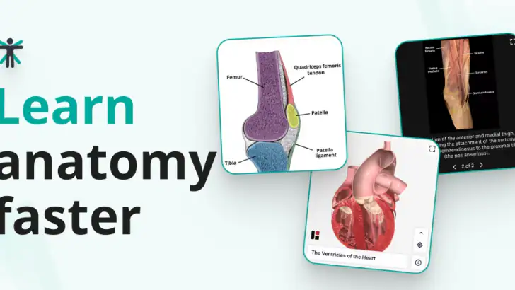 Teach Me Anatomy feature graphic