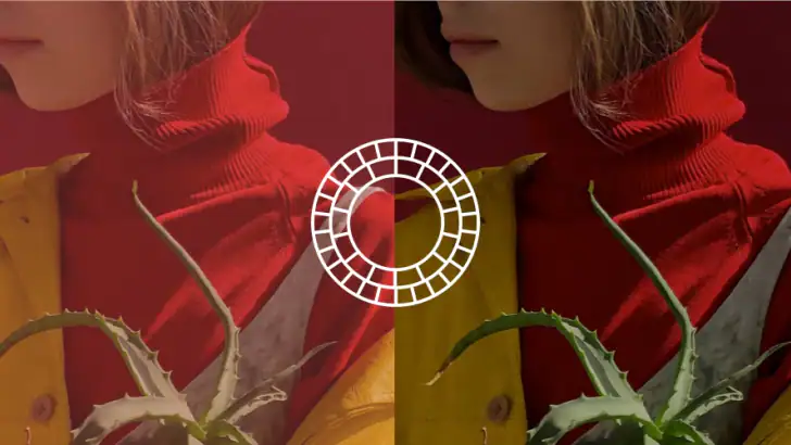 VSCO: Foto- og videoredigering feature graphic