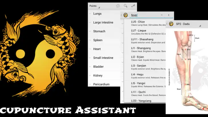Akupunktur Assistent feature graphic