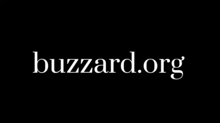 Buzzard – Politik für Schule feature graphic