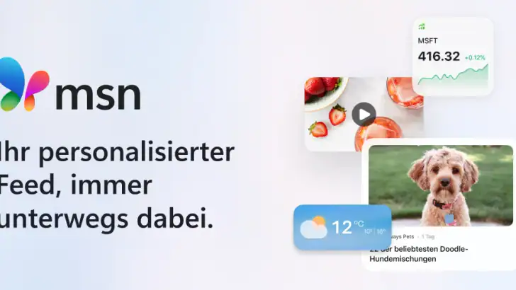 MSN feature graphic