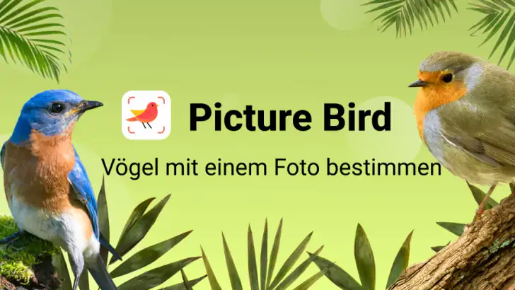 Picture Bird - Vögel bestimmen feature graphic