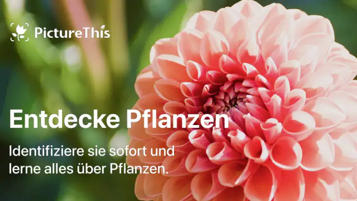 PictureThis:Pflanzen bestimmen feature graphic