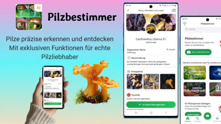 Pilzidentifikator feature graphic