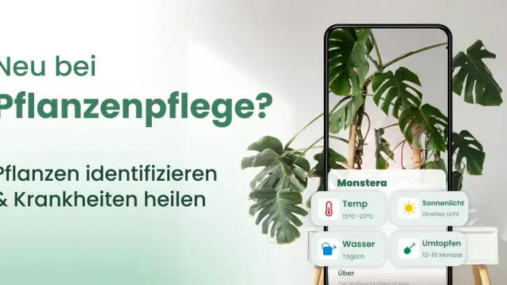 Plantify : Pflanzen Erkennen feature graphic