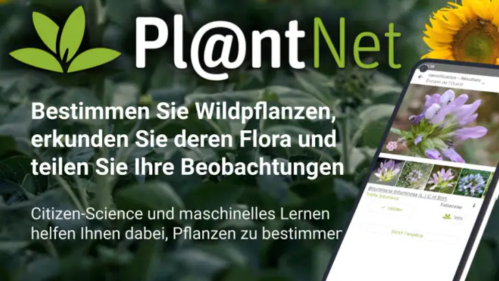 Pl@ntNet Pflanzenbestimmung feature graphic