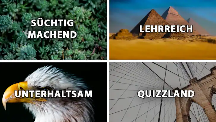 QuizzLand Allgemeinwissen Quiz feature graphic