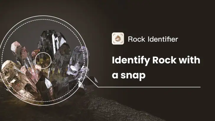 Rock Identifier - Felsen ID feature graphic