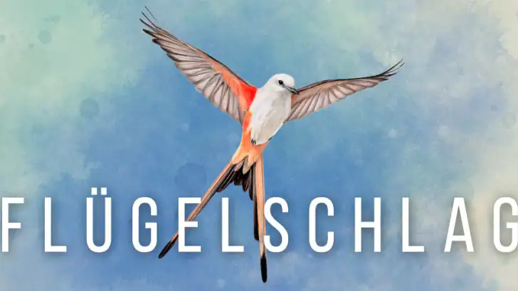Wingspan (Flügelschlag) feature graphic