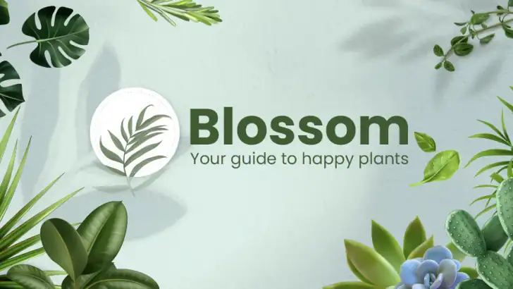 Blossom - Plant Identifier feature graphic