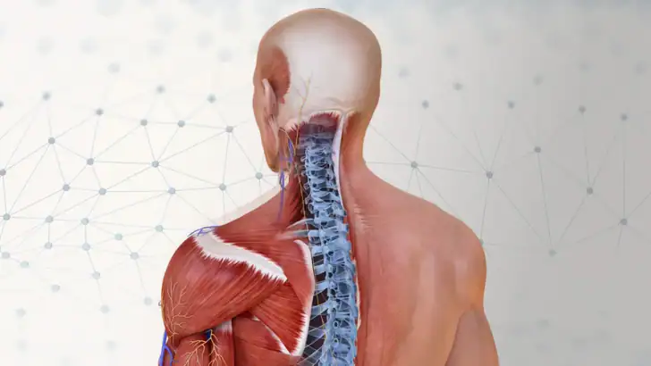 Complete Anatomy feature graphic