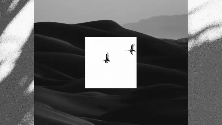 EPIK - AI Photo & Video Editor feature graphic
