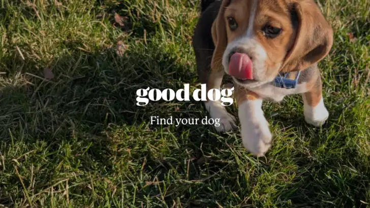 Good Dog: Find Your Puppy feature graphic