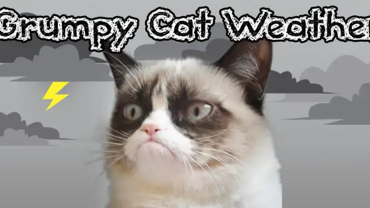 Grumpy Cat Weather feature graphic