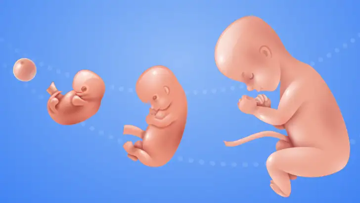 Idle 9 Months feature graphic