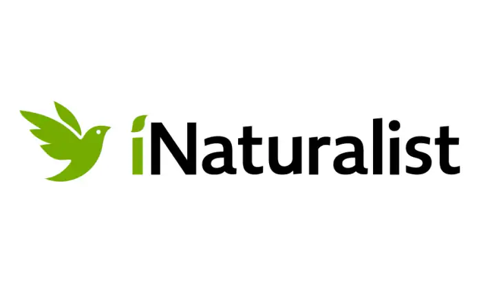 iNaturalist feature graphic