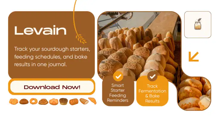 Levain feature graphic