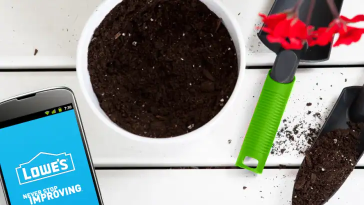 Lowe's feature graphic