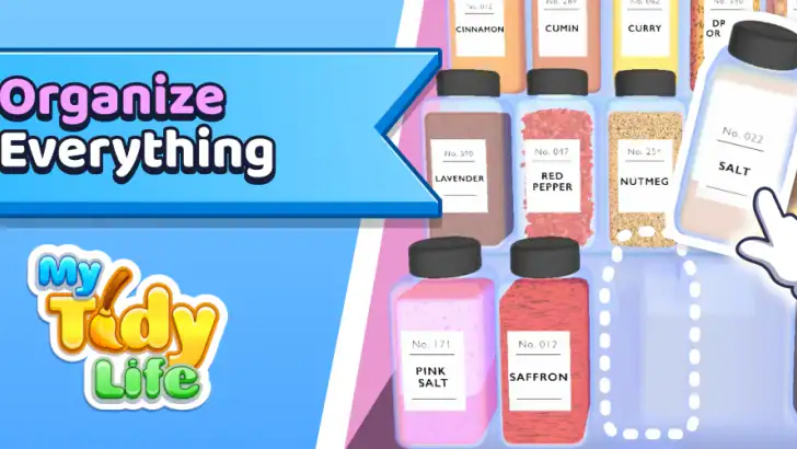 My Tidy Life feature graphic