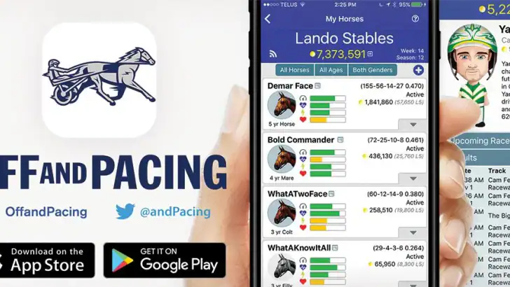 Off And Pacing: Horse Racing feature graphic