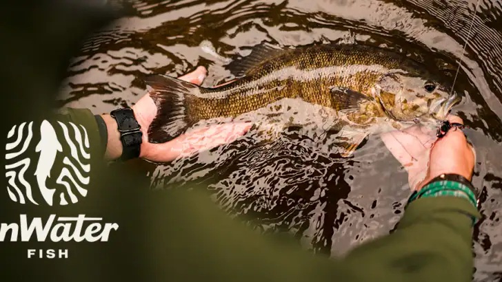 onWater Fish - Fishing Spots feature graphic