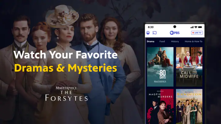 PBS: TV Shows & Documentaries feature graphic