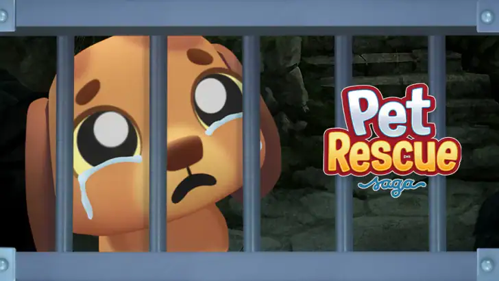 Pet Rescue Saga feature graphic