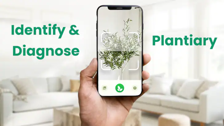 Plant Identifier: Plantiary feature graphic