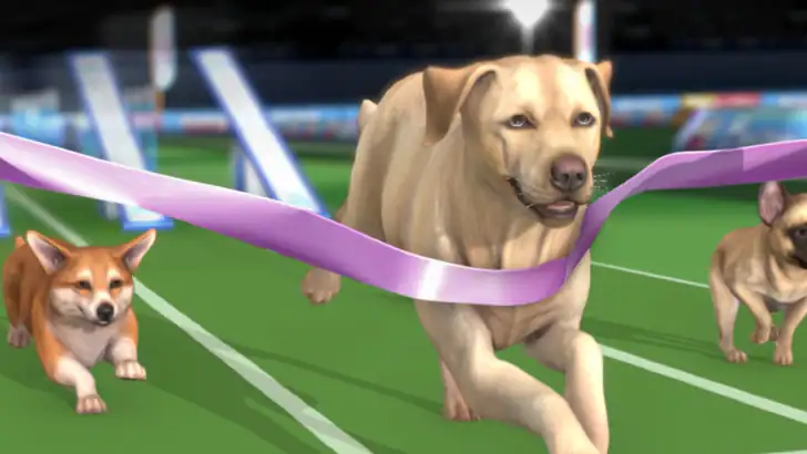 Pocket Paws: My lovely dogs feature graphic