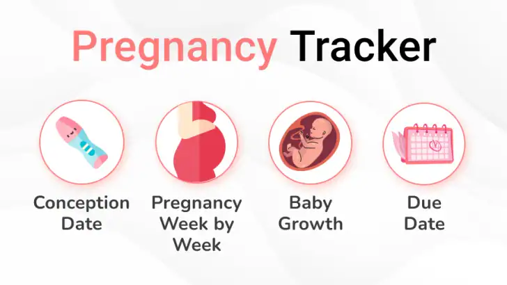 Pregnancy Calculator: Due Date feature graphic