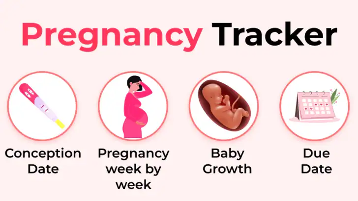 Pregnancy Tracker & Calculator feature graphic