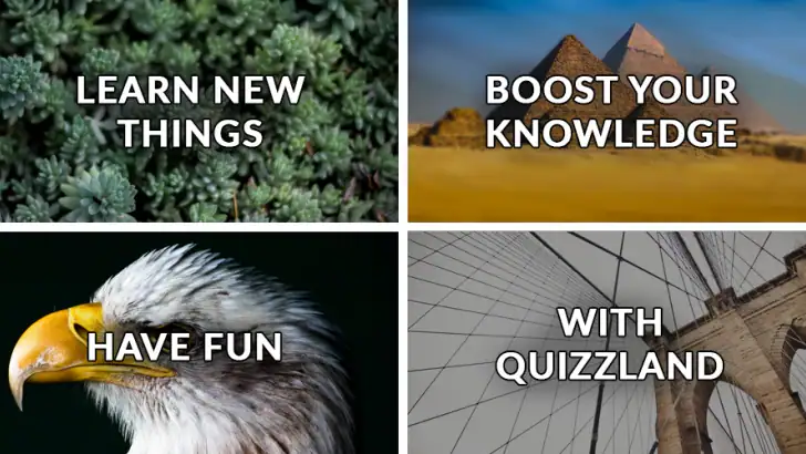 QuizzLand. Quiz & Trivia game feature graphic