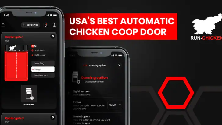 RUN-CHICKEN feature graphic