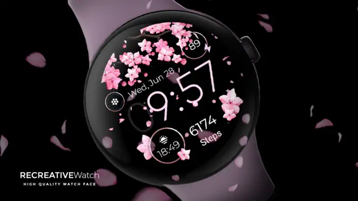 Seasonal Watch - Animated feature graphic