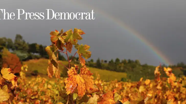 The Press Democrat feature graphic
