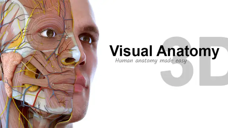 Visual Anatomy 3D - Human body feature graphic