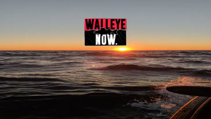 Walleye Now feature graphic