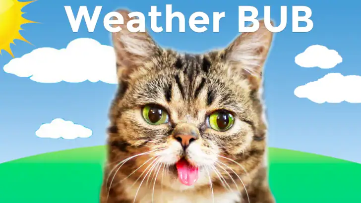 Weather BUB feature graphic