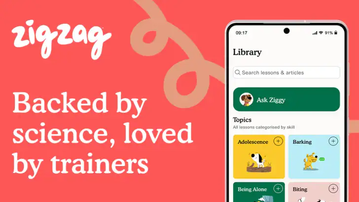 Zigzag - Dog & Puppy Training feature graphic