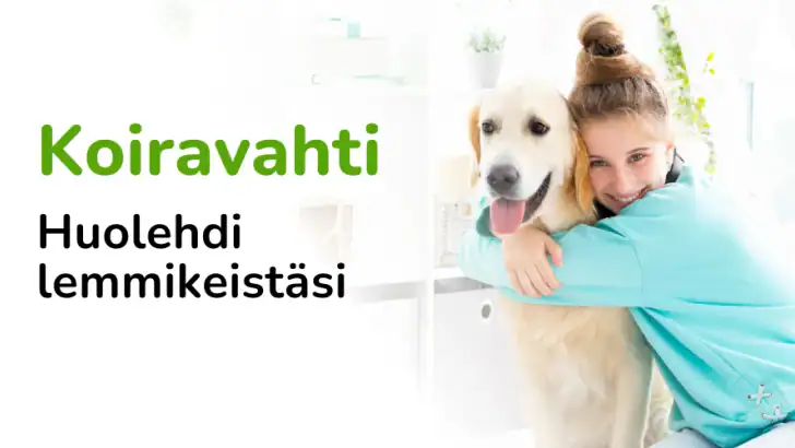 Barkio: Koiravahti feature graphic