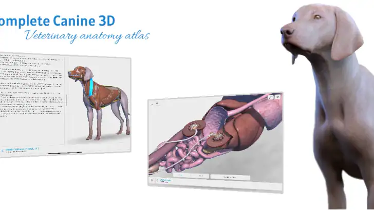Complete Canine 3D - anatomy feature graphic