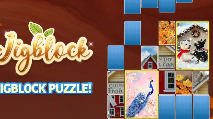 Jigblock feature graphic