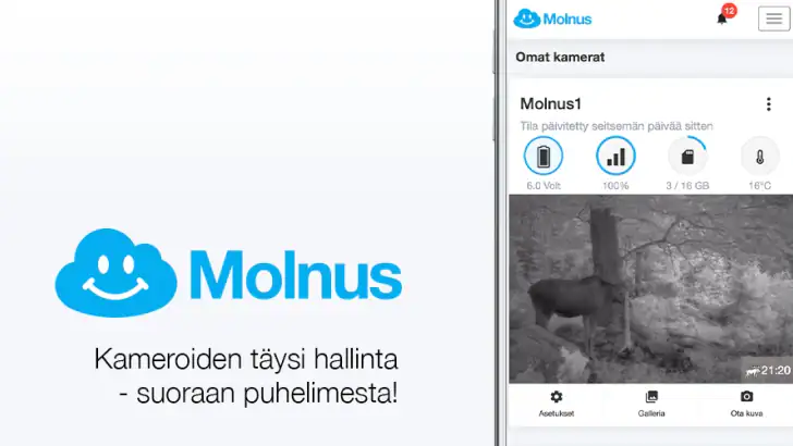 Molnus feature graphic