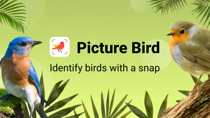 Picture Bird - Bird Identifier feature graphic