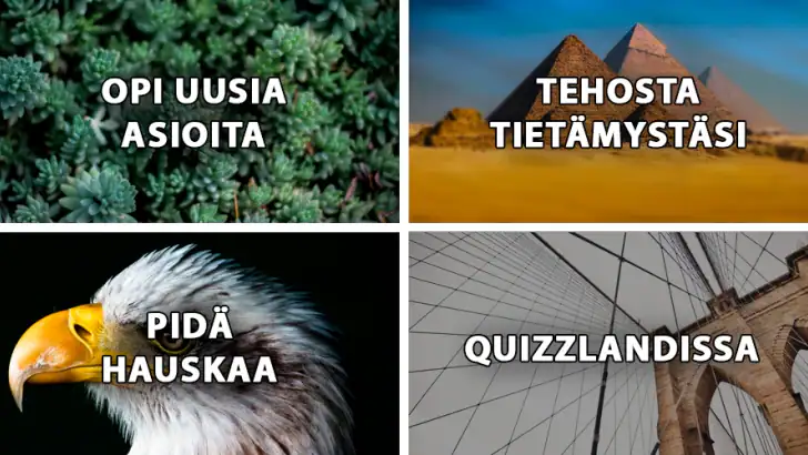 QuizzLand: Triviaa suomeksi feature graphic